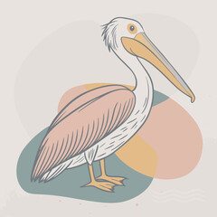 illustration of a pelican