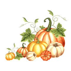 Pumpkins with leaves and tendrils. Autumn composition. Hand drawn watercolor illustration, isolated. Thanksgiving traditional vegetables. Template for invitation, card, Halloween, wrapping, embroidery