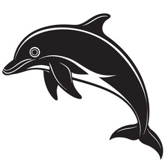 dolphin isolated on white