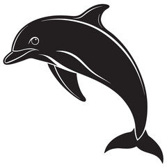 dolphin isolated on white background