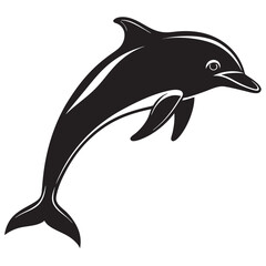 dolphin isolated on white background
