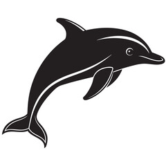 dolphin isolated on white background