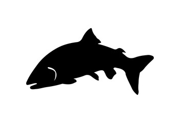 Salmon fish silhouette - cut out vector icon  Vector illustration.