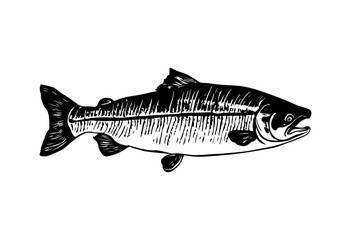 Salmon fish silhouette - cut out vector icon  Vector illustration.