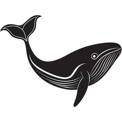 illustration of a cartoon shark