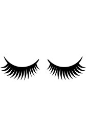 Eyelashes SVG, Brows SVG, Cute girls eyes SVG, Girl SVG, Makeup SVG, Beautiful SVG, Look SVG, Eyelashes, Eyelashes Vector, Eyelashes Clipart, Cut file for Cricut SVG, JPG, PNG