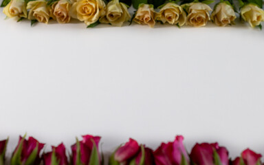 The red and white roses on the table are facing each other in a row