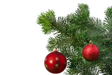 Christmas Decorations with tree branches and baubles isolated on white background