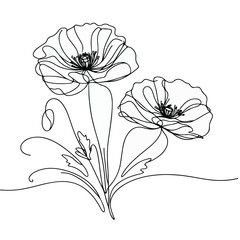 Poppy flowers in continuous line art drawing, Poppy flowers line art