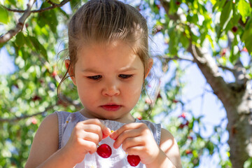 Girl picking cherries in the garden