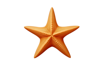 Gold Star Award Badge Isolated on Transparent Background