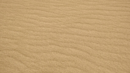 Wavy desert sand texture background. Yellow fine beach sand. Texture background of golden sand, summer sun holiday concept. The texture of the beach sand as background.