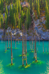 Sunken forest in the mountain lake Kaindy in Kazakhstan. Beautiful mountain natural landscape.