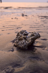 Large coral rocks on the beach. Wet beach sand.