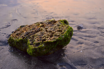 Large coral rocks on the beach. Wet beach sand.