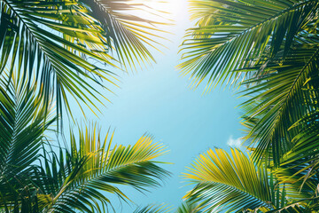 Fototapeta premium Flat vector illustration of palm fronds with a blue sky background,