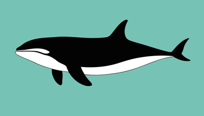 Obraz premium Minimalist Orca Whale Vector: A Modern Take on the Killer Whale