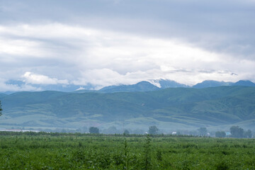 Early morning on a field not far from Almaty.