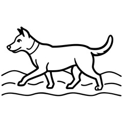 Happy puppy splashing in a puddle