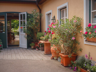 Obraz premium summer trip around Vienna, Austria