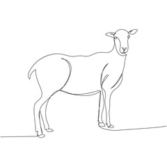 shorn sheep, ram, livestock, goat one line art. Continuous line drawing of farm, nature, agriculture, farm animals, rural life, ranch.
