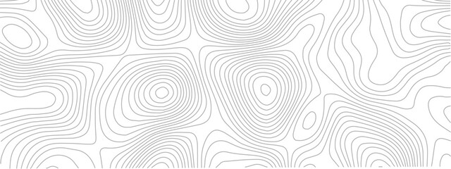 Transparent PNG Topographic line map. Modern design with White background with topographic wavy pattern design.	