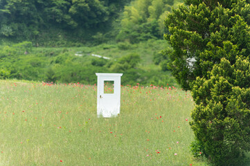 白い扉と草原