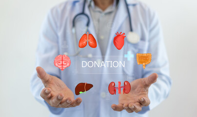 Concept of organ donation and transplantation, doctor holds with virtual icons of various human...
