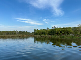 A vast expanse of a serene water body covered with lush green lily pads, extending towards the...