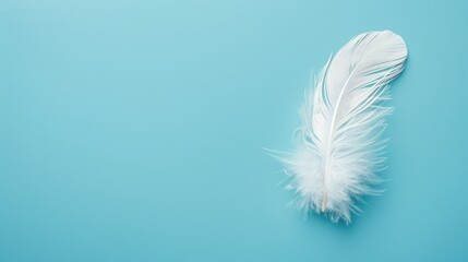 Concept of purity and simplicity symbolized by white feather on blue background