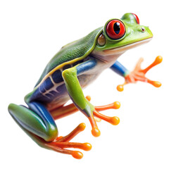 Obraz premium leaping red eyed tree frog on a transparent background