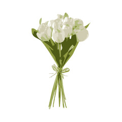 tulip flower illustration