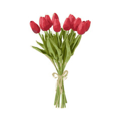 tulip flower illustration