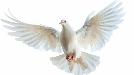 Beautiful white dove in flight with open wings against a clean white background. This symbolic bird represents peace and freedom. Ideal for use in religious and spiritual content. AI