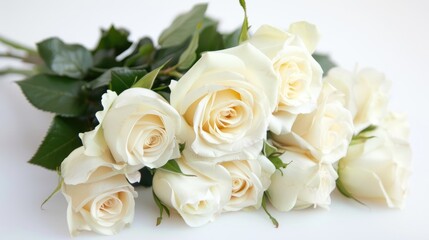 Delicate white roses bouquet on white backdrop for spring occasions