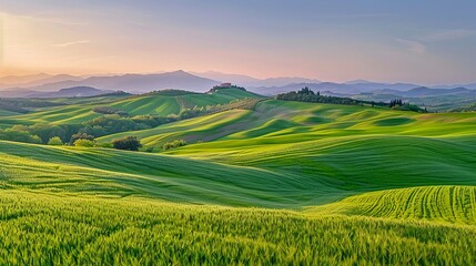 Fototapeta premium Stunning green rolling hills under a clear sky at sunrise. Beautiful landscape photography showcasing serene nature and scenic beauty. Perfect for background or wallpaper. AI