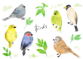 透過背景　手書きのかわいい小鳥イラスト　絵本　絵　セット　葉　