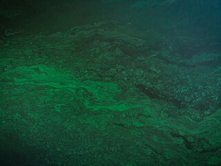 Aerial view, curves of river landscape. Sunrise.
