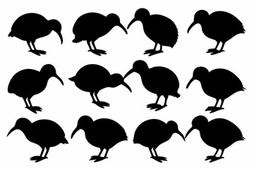 Kiwi Bird Silhouette Vector set, set of kiwi bird animal Vector illustration

