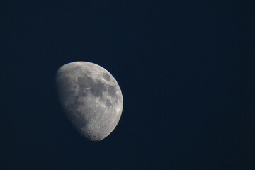 Luna © Steve Fossiant