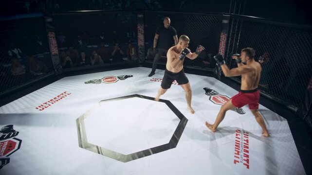 Mixed Martial Arts Channel Broadcast Television Playback or Pay Per View Live Stream: MMA Opponents Fighting for the Belt. Fighter Knocking Out the Competitor with a Powerful High Kick