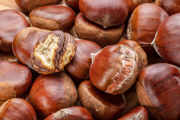 Edible sweet chestnuts with roasted chestnut.