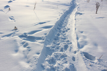 The trail through the snow, winter day