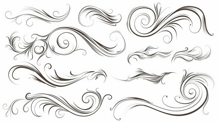 Fototapeta premium A set of hand drawn swirls and calligraphy elements