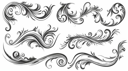 Fototapeta premium Modern set of Flourish Modern Frames with squiggles, swirls, and embellishments. Isolated black border highlights isolated against white.