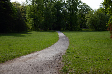 Winding path through green park on sunny day.