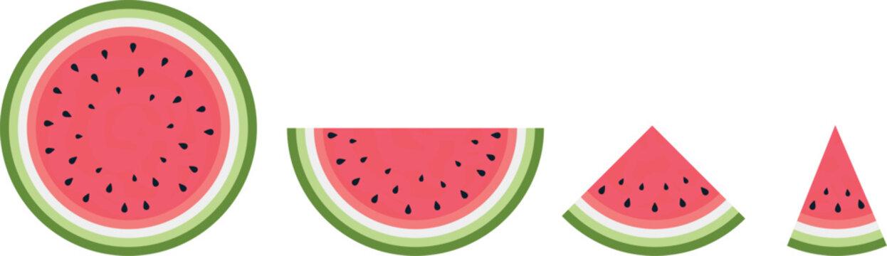 A set of whole, half, quarter and cut watermelon slices on a transparent background.  Isolated vector illustration.