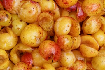 Close-up of a pile of ripe yellow plums with red speckles.