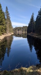 Obraz premium a beautiful forest lake surrounded by tall trees, with a clear blue sky and calm water, showing the shore and distant hills covered in pine forests.