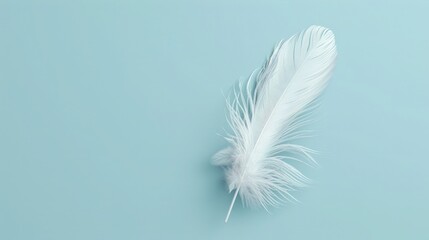 A Single Feather on a Sky Blue Background